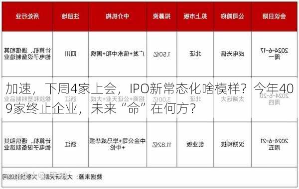 加速，下周4家上会，IPO新常态化啥模样？今年409家终止企业，未来“命”在何方？