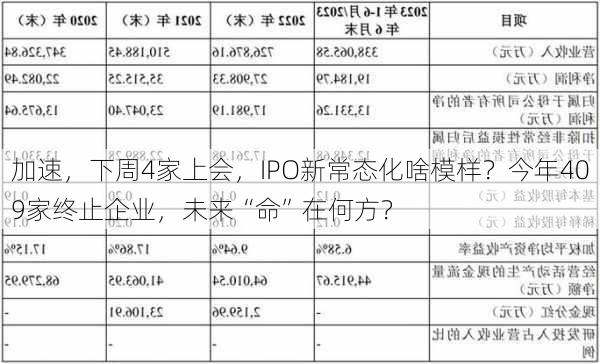 加速，下周4家上会，IPO新常态化啥模样？今年409家终止企业，未来“命”在何方？