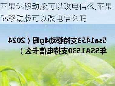 苹果5s移动版可以改电信么,苹果5s移动版可以改电信么吗