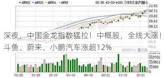 深夜，中国金龙指数猛拉！中概股，全线大涨！斗鱼、蔚来、小鹏汽车涨超12%