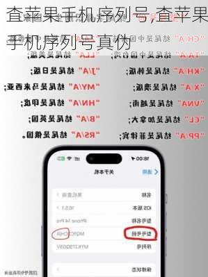 査苹果手机序列号,査苹果手机序列号真伪