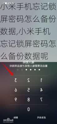 小米手机忘记锁屏密码怎么备份数据,小米手机忘记锁屏密码怎么备份数据呢