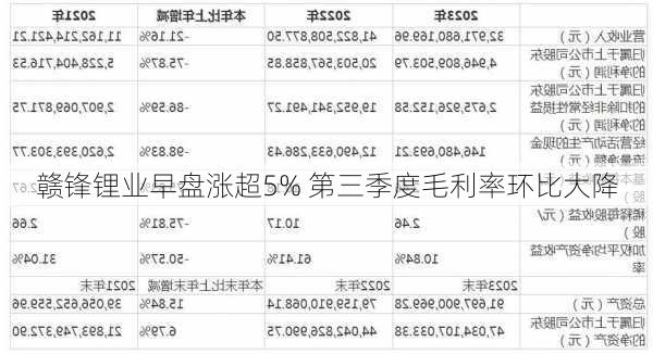 赣锋锂业早盘涨超5% 第三季度毛利率环比大降