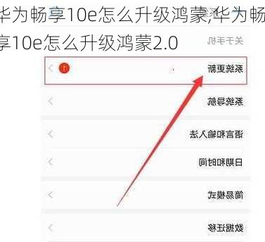 华为畅享10e怎么升级鸿蒙,华为畅享10e怎么升级鸿蒙2.0