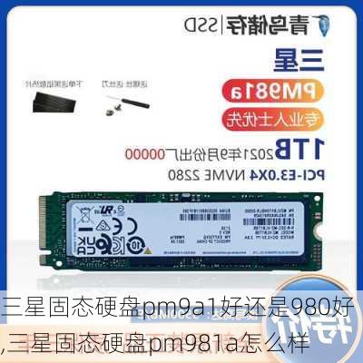 三星固态硬盘pm9a1好还是980好,三星固态硬盘pm981a怎么样