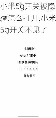 小米5g开关被隐藏怎么打开,小米5g开关不见了