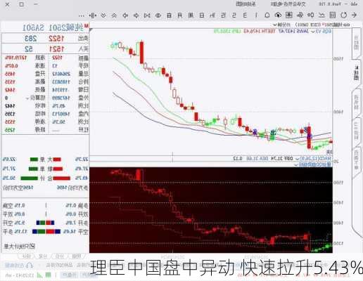 理臣中国盘中异动 快速拉升5.43%