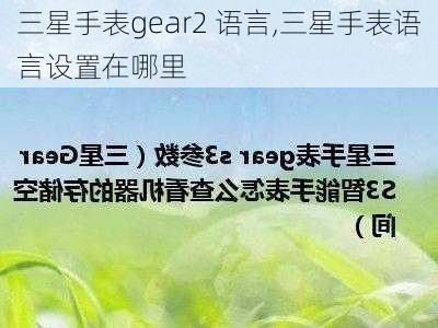 三星手表gear2 语言,三星手表语言设置在哪里