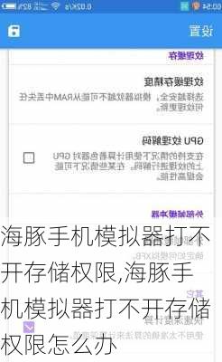 海豚手机模拟器打不开存储权限,海豚手机模拟器打不开存储权限怎么办