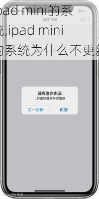 ipad mini的系统,ipad mini的系统为什么不更新