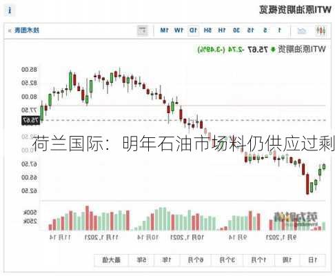 荷兰国际：明年石油市场料仍供应过剩