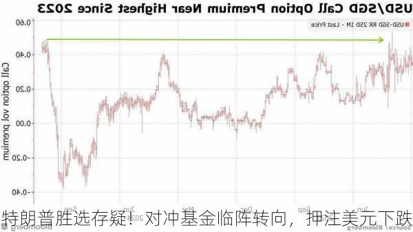 特朗普胜选存疑！对冲基金临阵转向，押注美元下跌