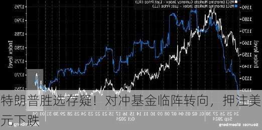 特朗普胜选存疑！对冲基金临阵转向，押注美元下跌