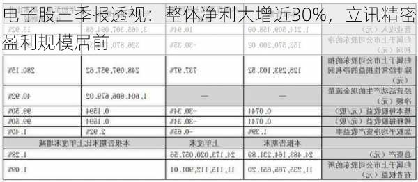 电子股三季报透视：整体净利大增近30%，立讯精密盈利规模居前