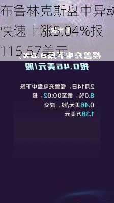 布鲁林克斯盘中异动 快速上涨5.04%报115.57美元