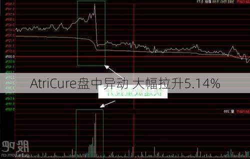 AtriCure盘中异动 大幅拉升5.14%