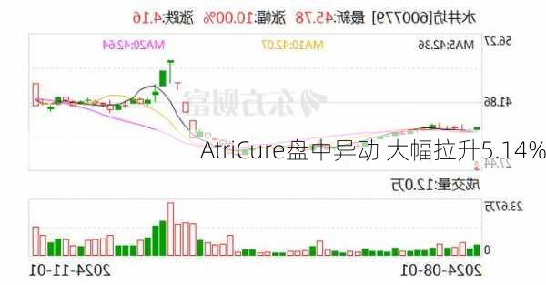 AtriCure盘中异动 大幅拉升5.14%