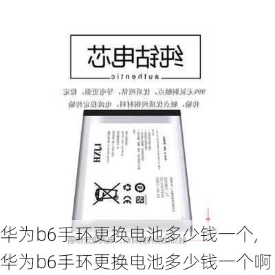 华为b6手环更换电池多少钱一个,华为b6手环更换电池多少钱一个啊