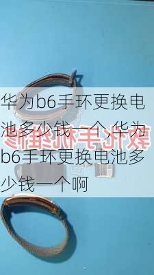 华为b6手环更换电池多少钱一个,华为b6手环更换电池多少钱一个啊