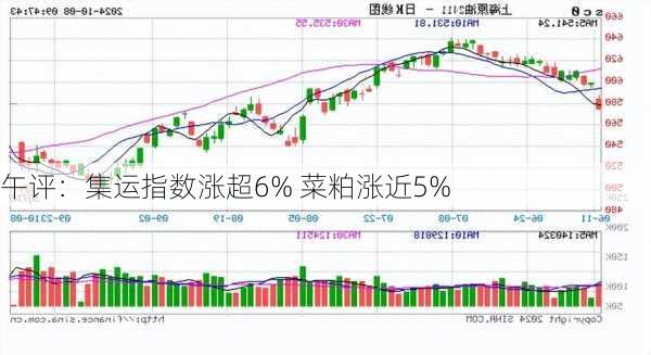 午评：集运指数涨超6% 菜粕涨近5%