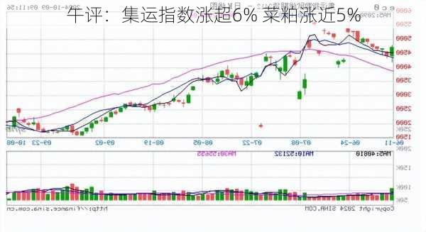 午评：集运指数涨超6% 菜粕涨近5%