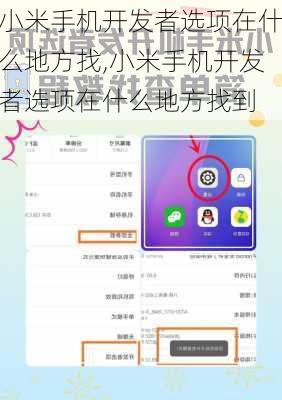 小米手机开发者选项在什么地方找,小米手机开发者选项在什么地方找到