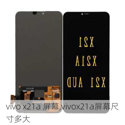 vivo x21a 屏幕,vivox21a屏幕尺寸多大