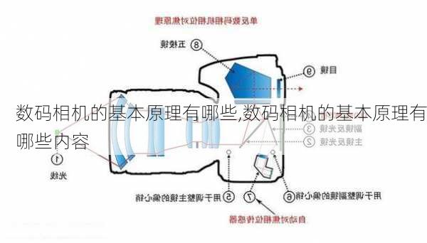 数码相机的基本原理有哪些,数码相机的基本原理有哪些内容