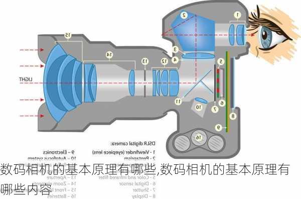 数码相机的基本原理有哪些,数码相机的基本原理有哪些内容