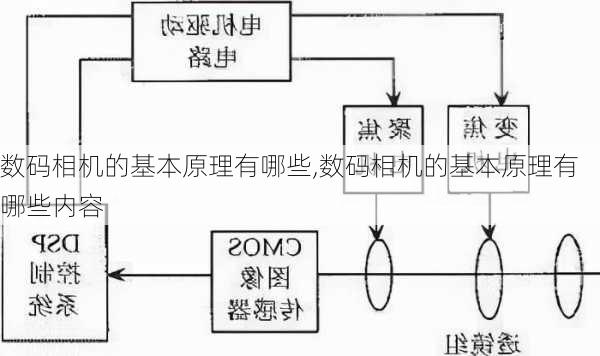 数码相机的基本原理有哪些,数码相机的基本原理有哪些内容