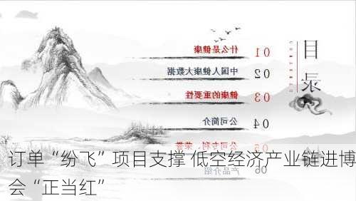 订单“纷飞”项目支撑 低空经济产业链进博会“正当红”