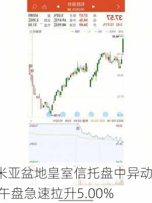 帕米亚盆地皇室信托盘中异动 下午盘急速拉升5.00%