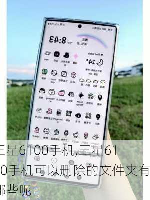 三星6100手机,三星6100手机可以删除的文件夹有哪些呢