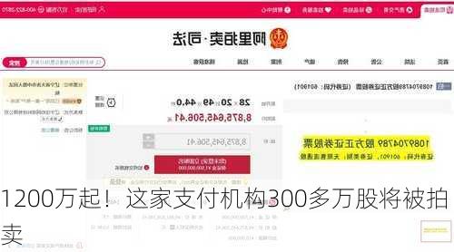 1200万起！这家支付机构300多万股将被拍卖