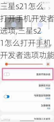 三星s21怎么打开手机开发者选项,三星s21怎么打开手机开发者选项功能