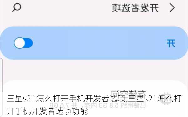 三星s21怎么打开手机开发者选项,三星s21怎么打开手机开发者选项功能