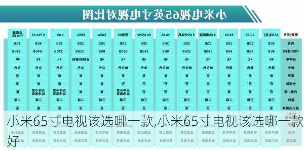 小米65寸电视该选哪一款,小米65寸电视该选哪一款好