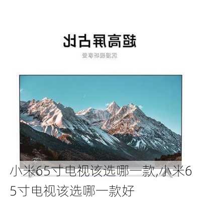 小米65寸电视该选哪一款,小米65寸电视该选哪一款好