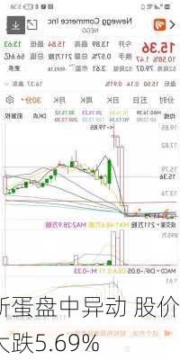 新蛋盘中异动 股价大跌5.69%