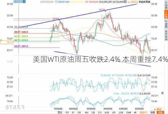 美国WTI原油周五收跌2.4% 本周重挫7.4%