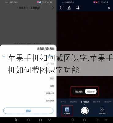 苹果手机如何截图识字,苹果手机如何截图识字功能