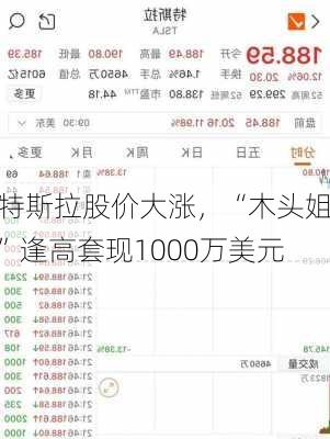 特斯拉股价大涨，“木头姐”逢高套现1000万美元