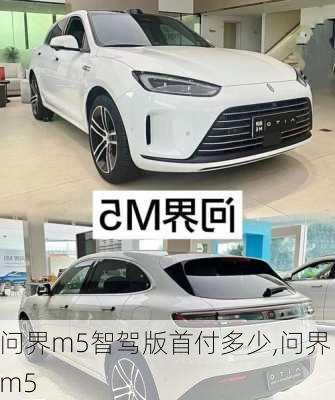 问界m5智驾版首付多少,问界 m5