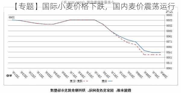 【专题】国际小麦价格下跌，国内麦价震荡运行