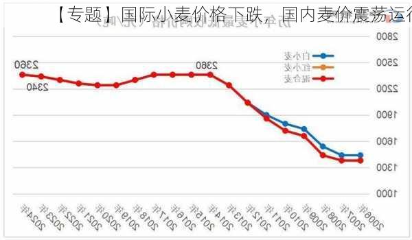 【专题】国际小麦价格下跌，国内麦价震荡运行