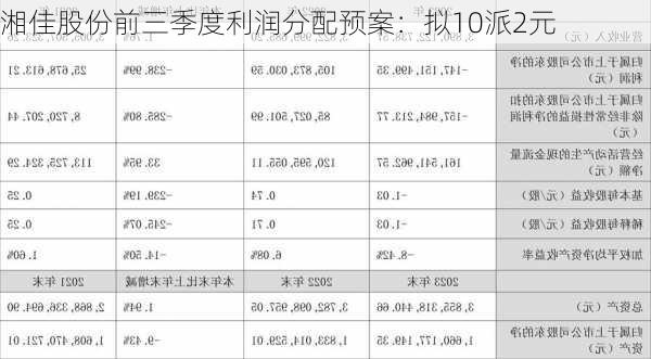 湘佳股份前三季度利润分配预案：拟10派2元