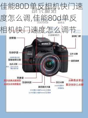 佳能80D单反相机快门速度怎么调,佳能80d单反相机快门速度怎么调节