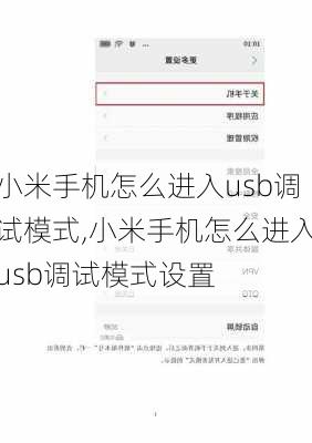 小米手机怎么进入usb调试模式,小米手机怎么进入usb调试模式设置