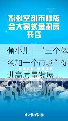 蒲小川：“三个体系加一个市场”促进高质量发展