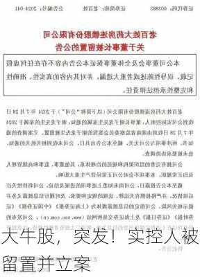 大牛股，突发！实控人被留置并立案